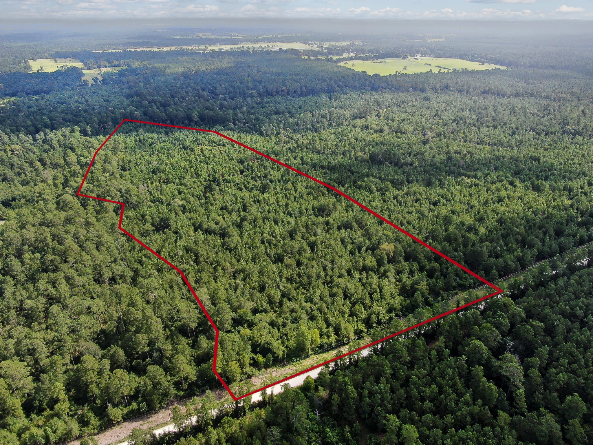 0 Scales Ranch Road Huntsville, TX 77320 - Photo 3 of 22