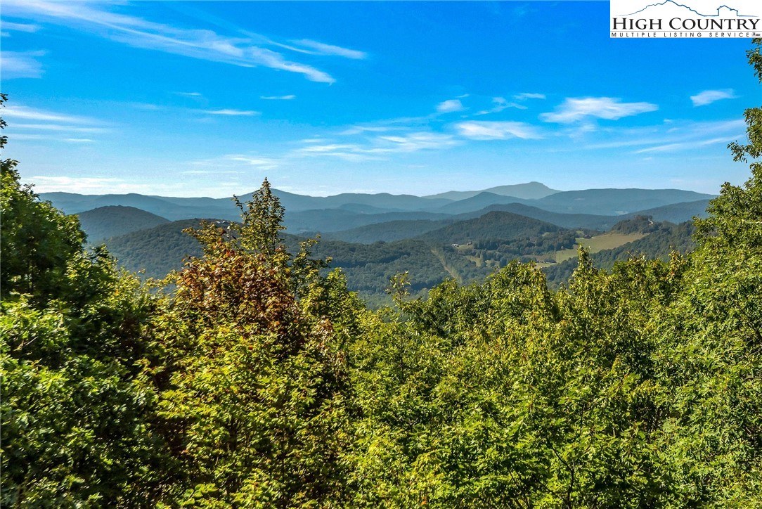 2044 Homestead Road Todd, NC 28684 - Photo 3 of 49 Gallery Image 3