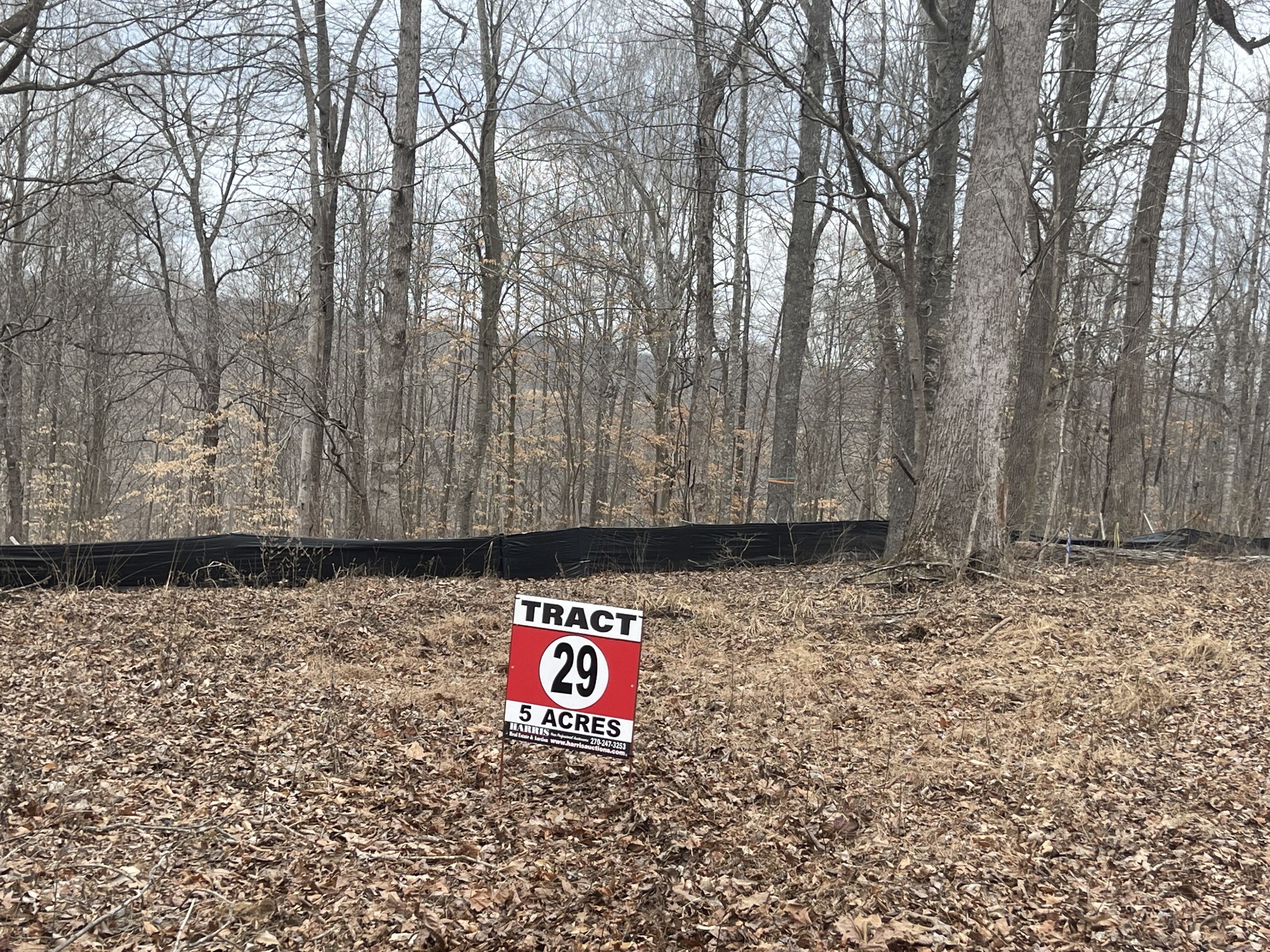 29 Fox Way Pointe Pt