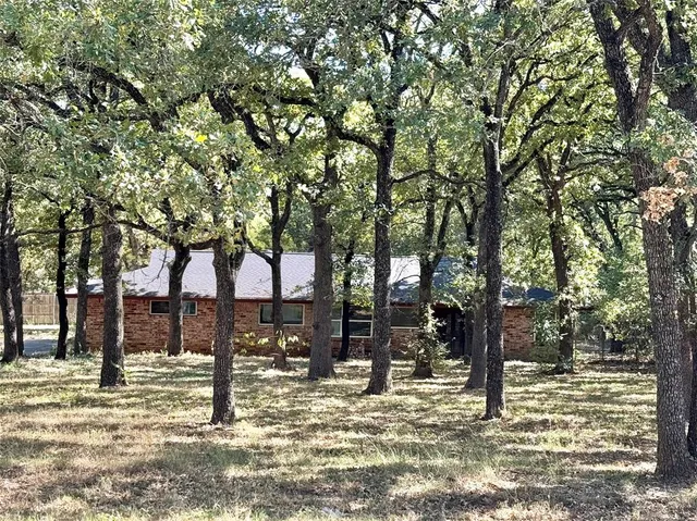 a view of a yard with trees