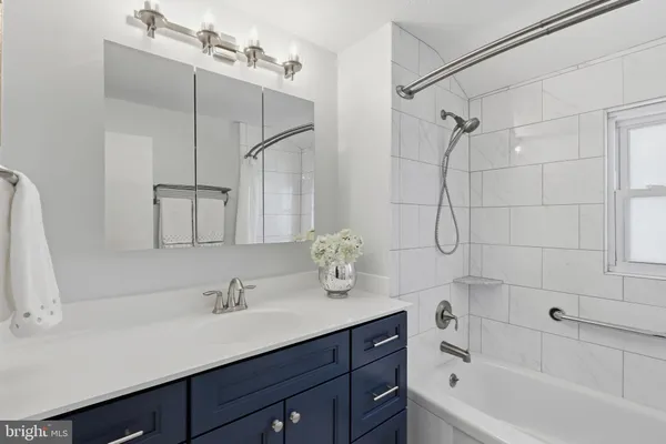 a view of a backyard with large trees