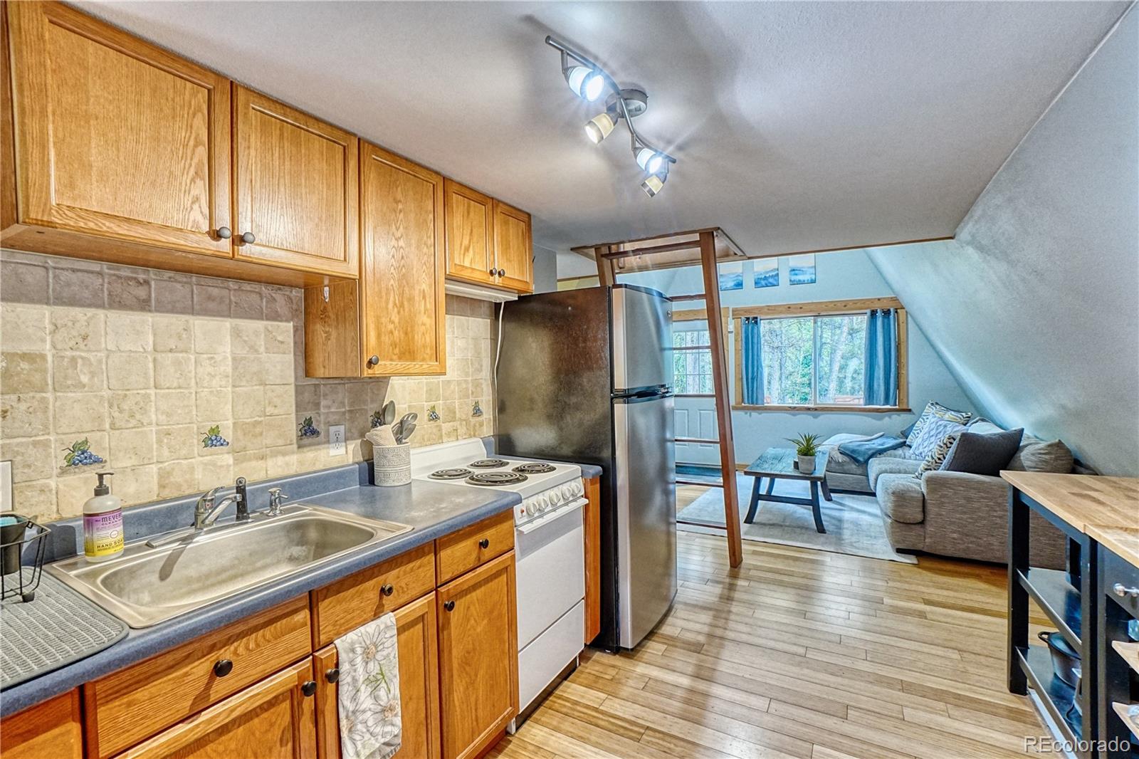 226 Atlantis Road Black Hawk, CO 80422 - Photo 3 of 39 Gallery Image 3