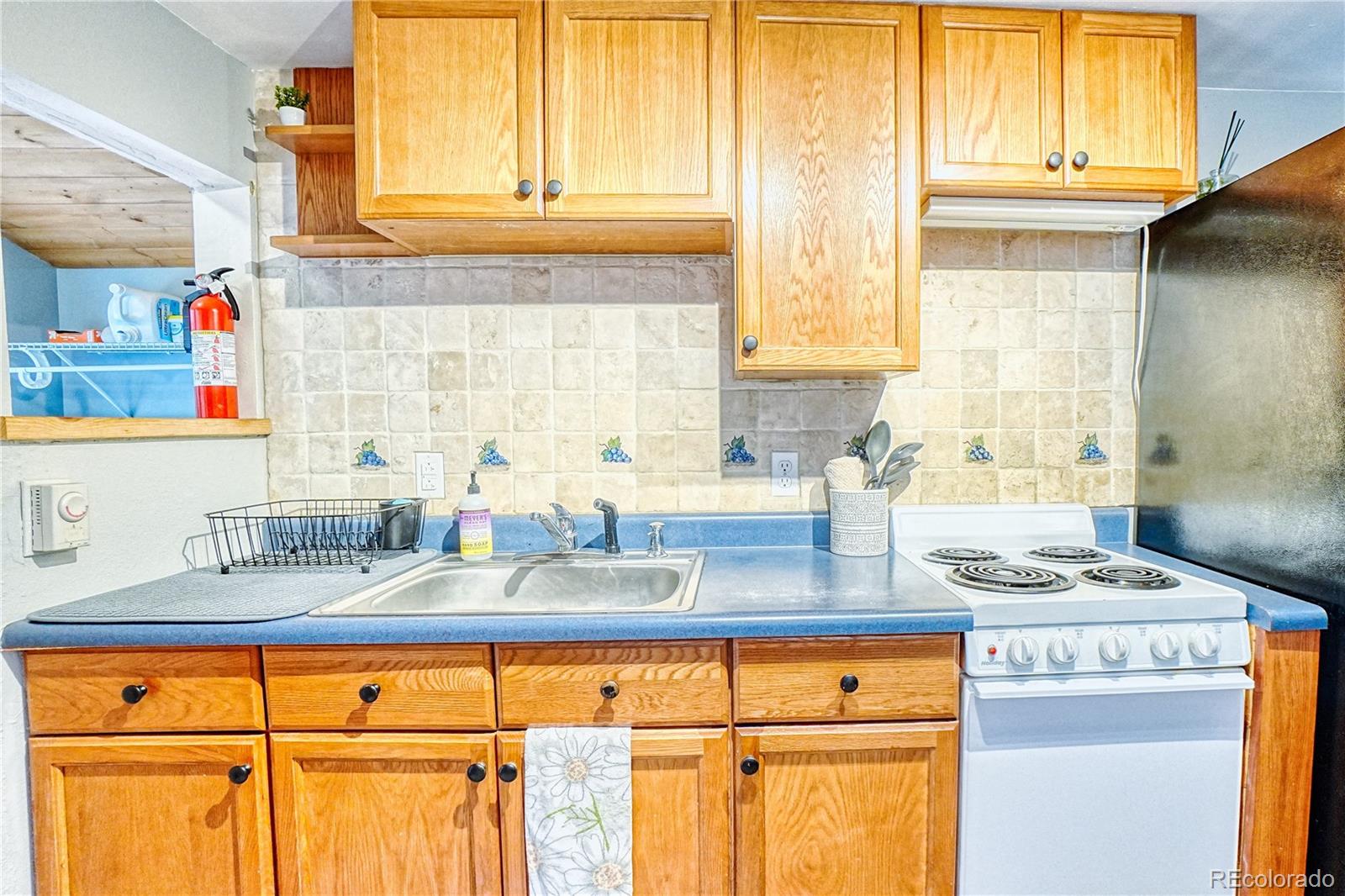 226 Atlantis Road Black Hawk, CO 80422 - Photo 4 of 39 Gallery Image 4