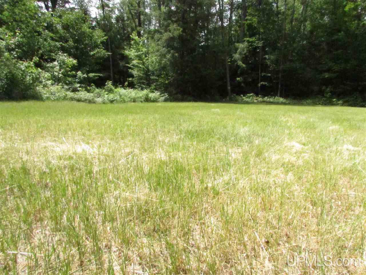 N12426 Driggs River Road Seney, MI 49883 - Photo 36 of 74 Gallery Image 36