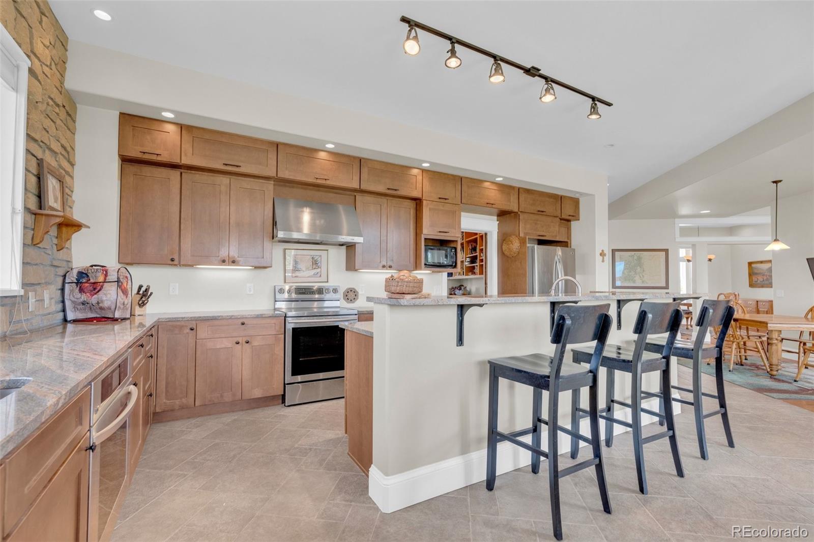 3830 Willownook Ranch Trail Elizabeth, CO 80107 - Photo 7 of 47