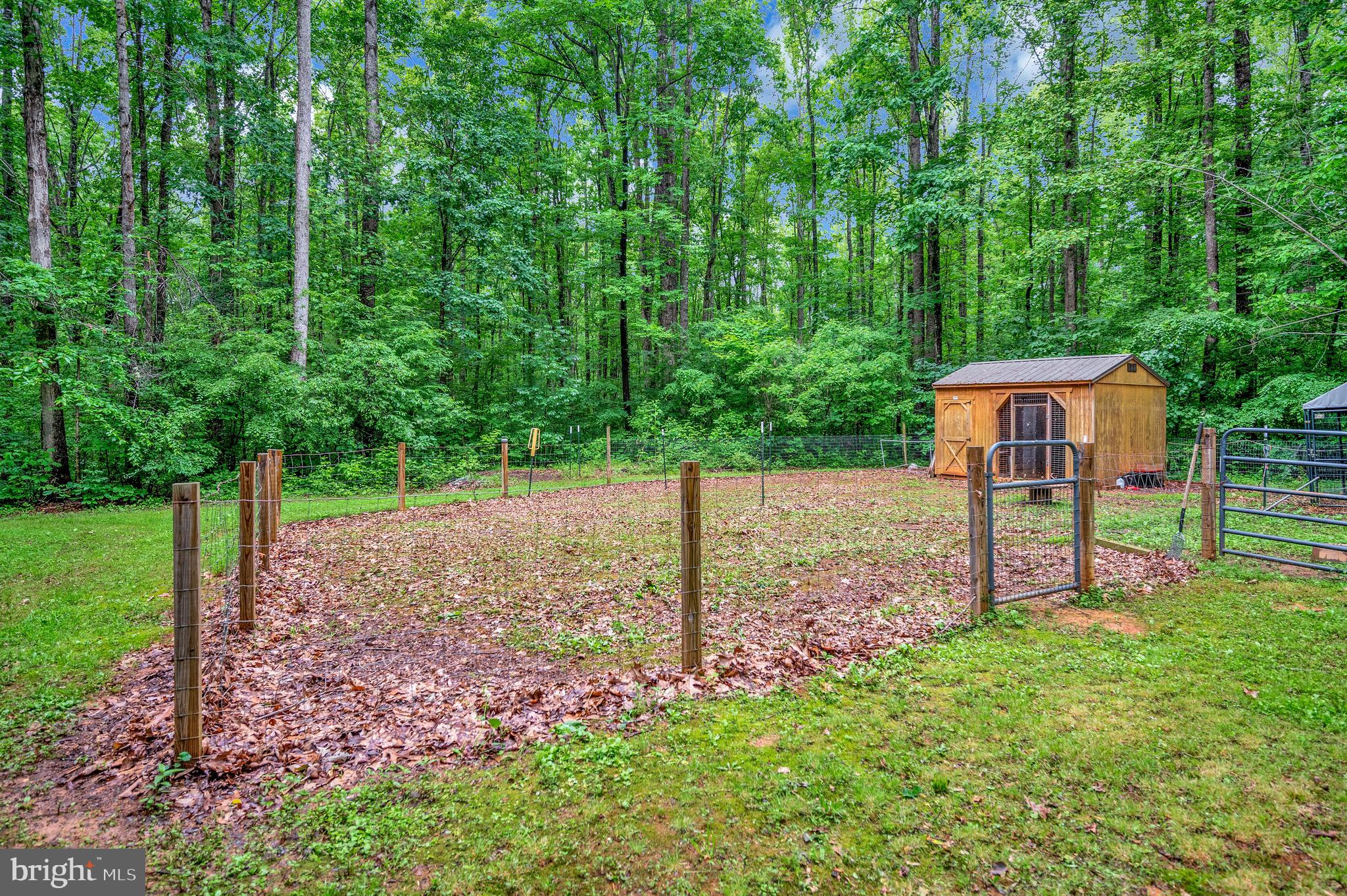 15440 Old Ridge Road Beaverdam, VA 23015 - Photo 14 of 59