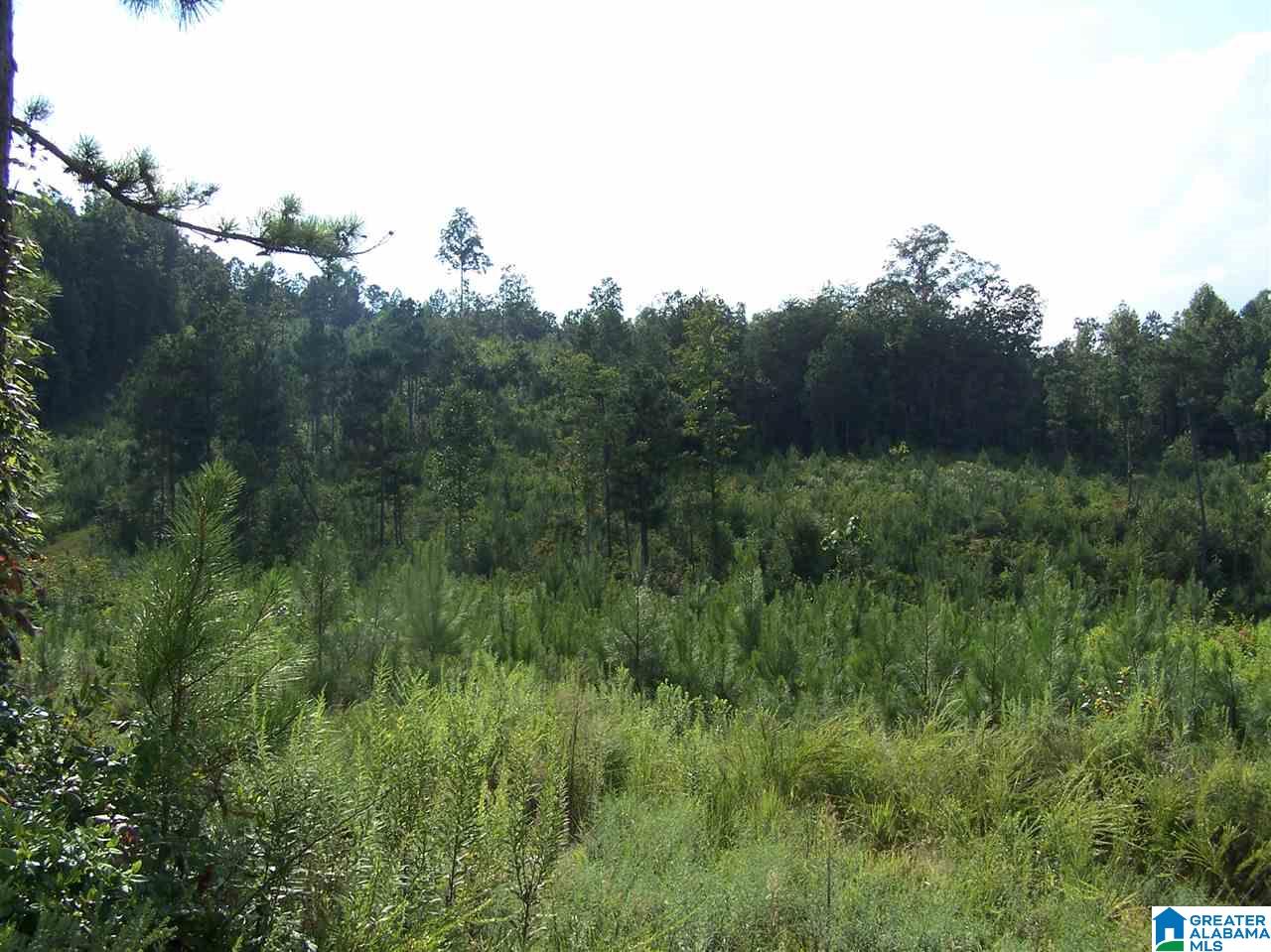 0 Jackson Trail, Unit 140 ACRES Altoona, AL 35952 - Photo 48 of 50
