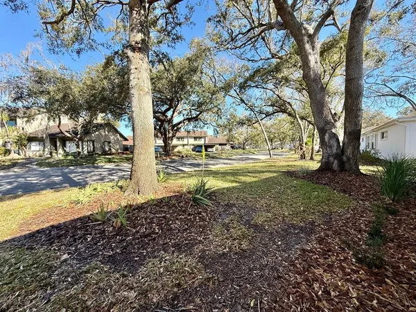 a view of yard with tree