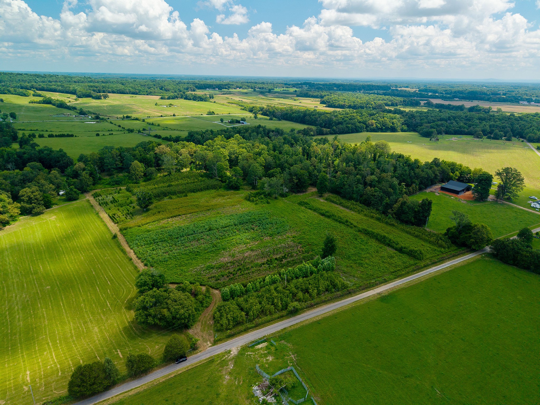 0 Sneed Road McMinnville, TN 37110 - Photo 12 of 16