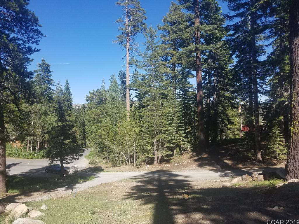 198 John Ebbetts Road Bear Valley, CA 95223 - Photo 1 of 1 a view of a road with trees in the background