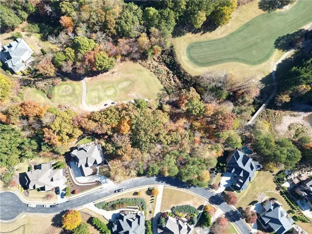 a view of a yard with a tree