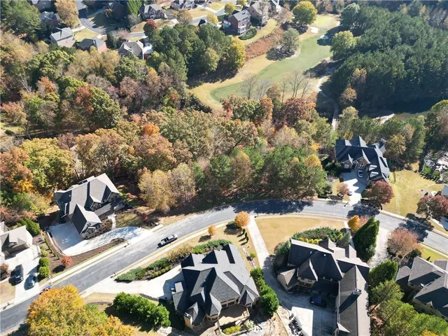 a view of a yard with plants