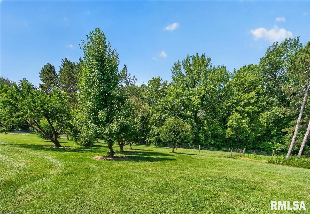 2033 McQueen Road New Berlin, IL 62670 - Photo 21 of 63 Gallery Image 21