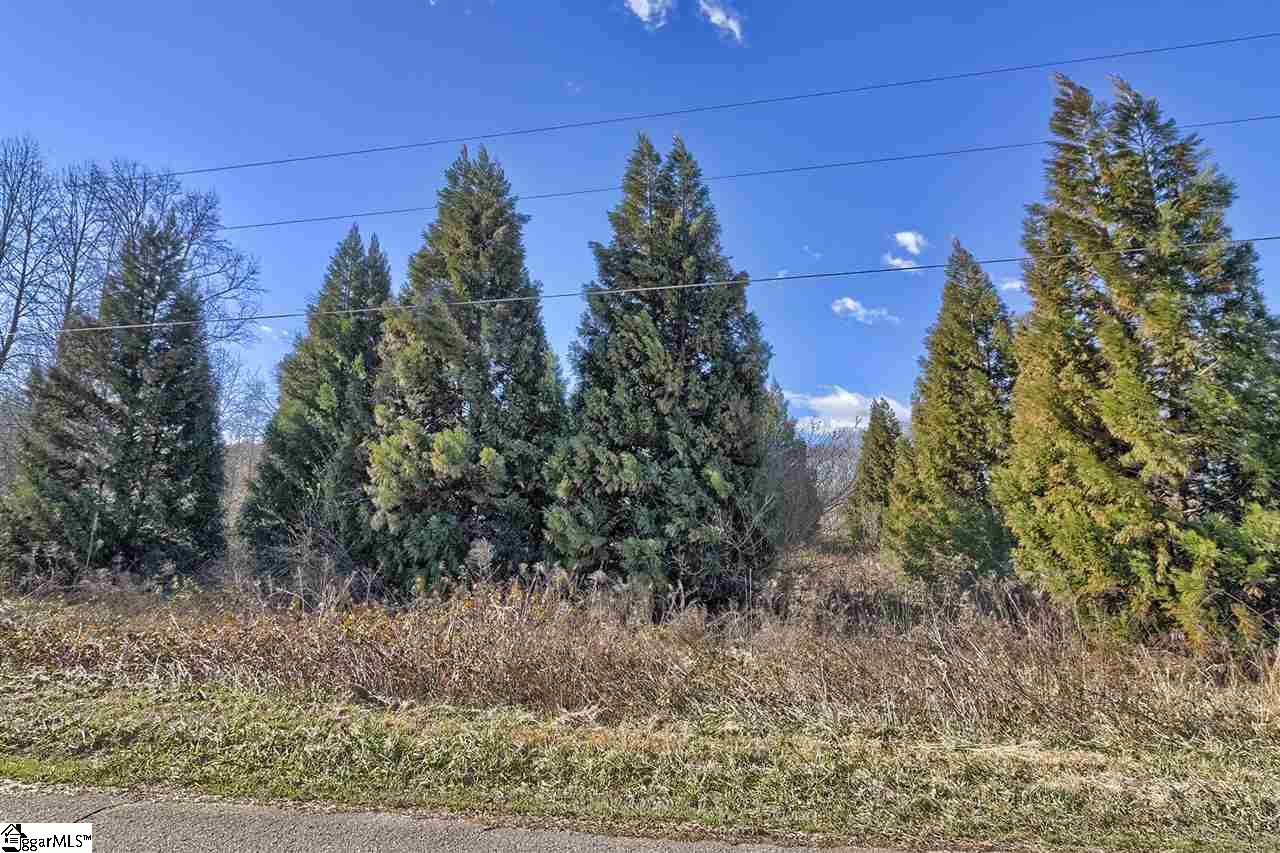 A Jameson Road Easley, SC 29640 - Photo 3 of 12