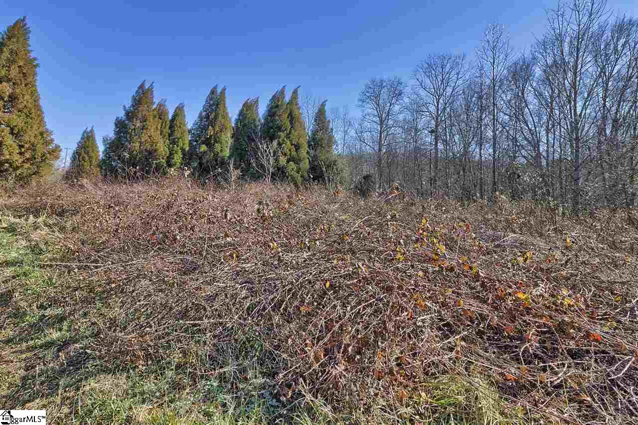 A Jameson Road Easley, SC 29640 - Photo 10 of 12