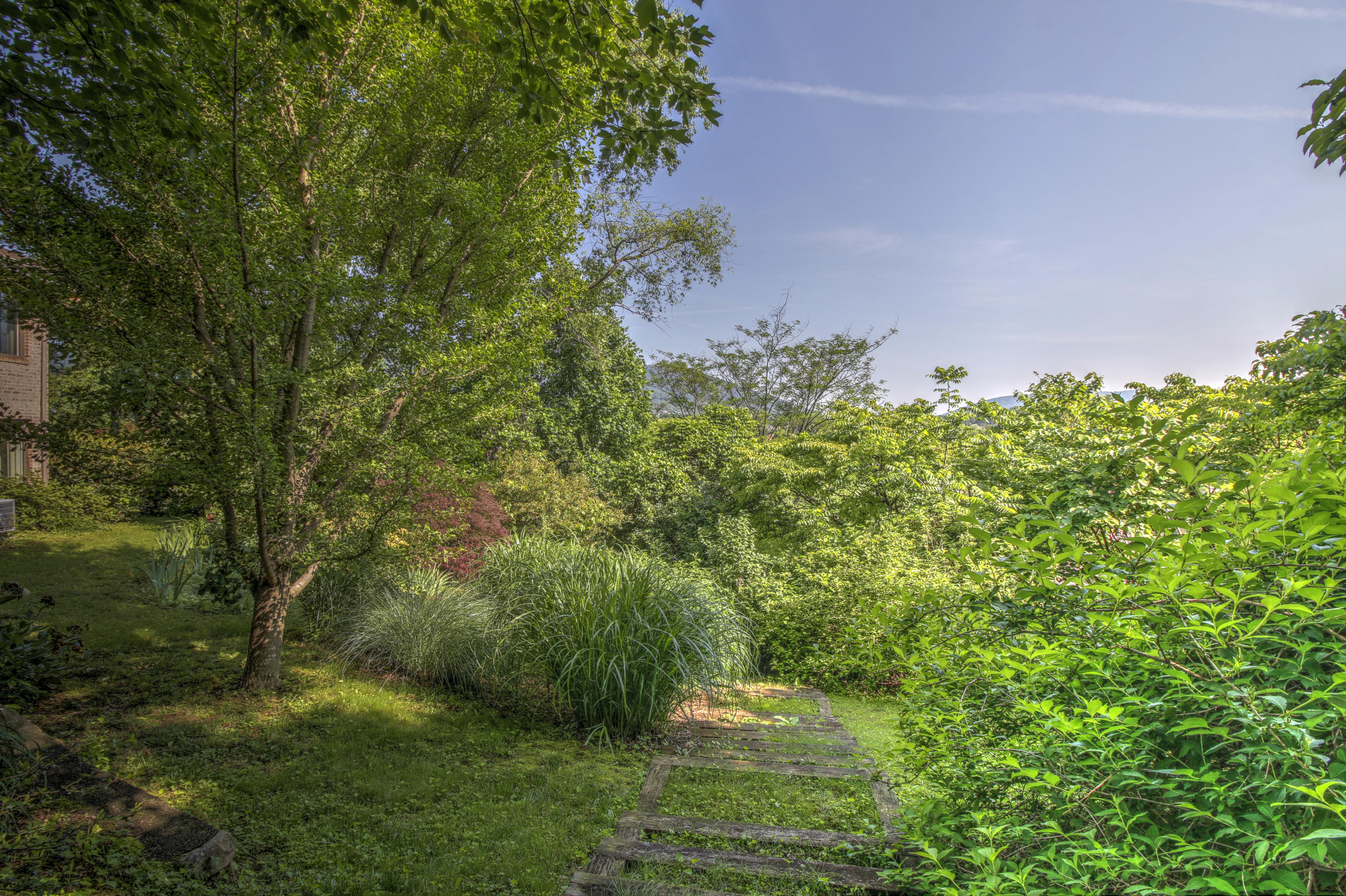 5475 Setter Road Roanoke, VA 24012 - Photo 45 of 49 _MG_0113_4_5