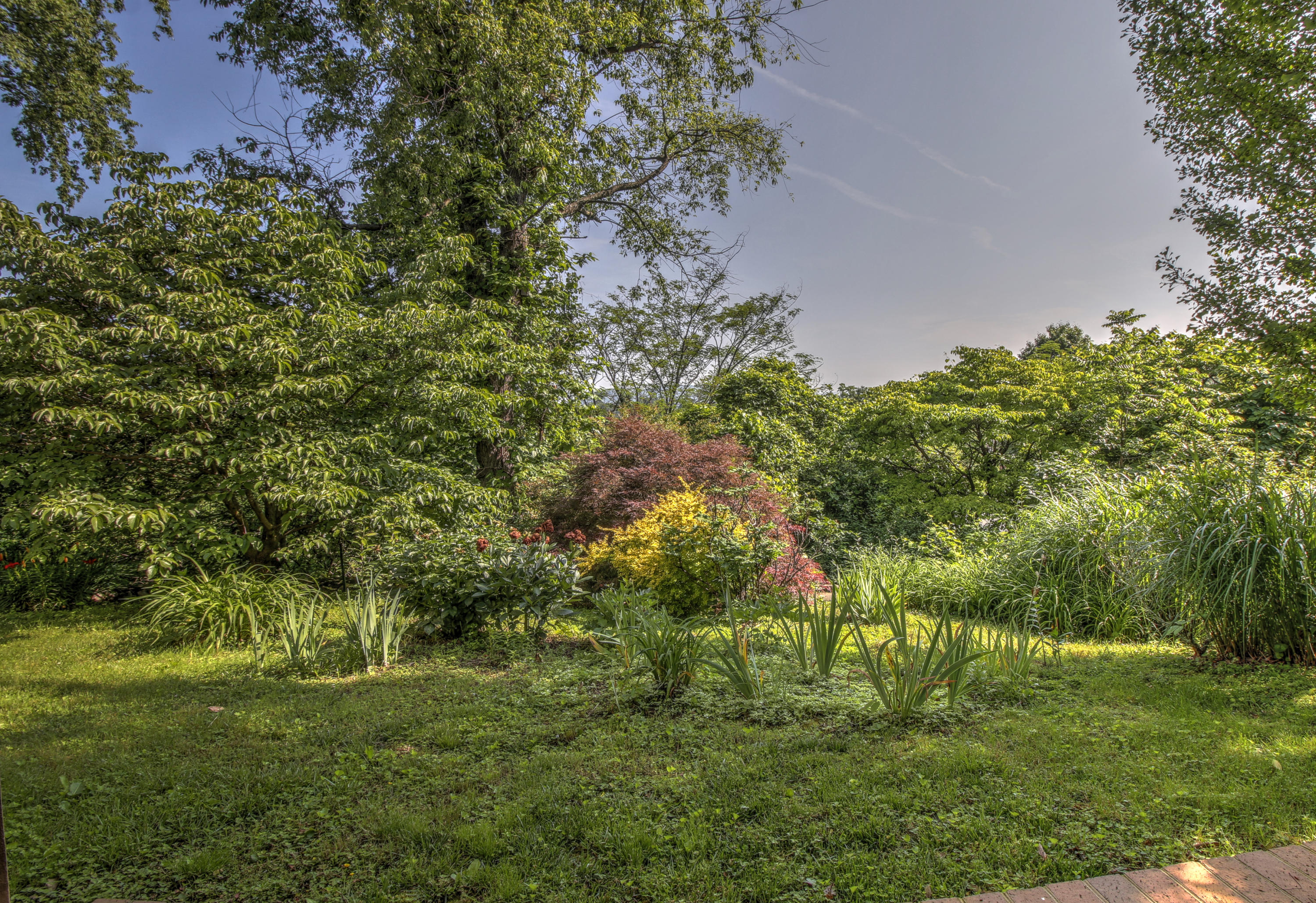 5475 Setter Road Roanoke, VA 24012 - Photo 46 of 49 _MG_0110_1_2