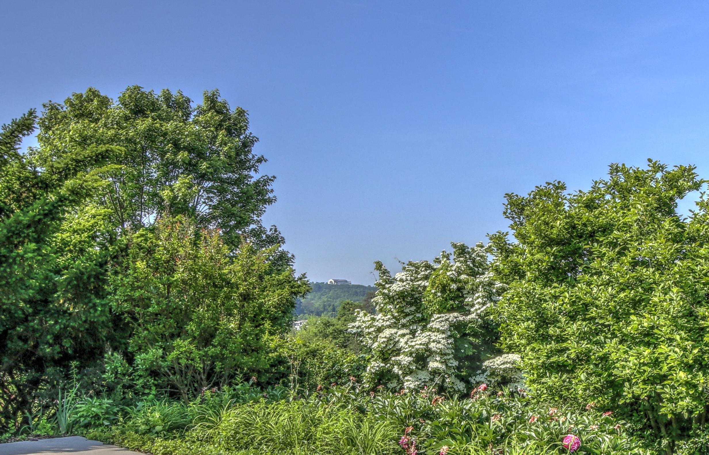 5475 Setter Road Roanoke, VA 24012 - Photo 47 of 49 _MG_0125_6_7