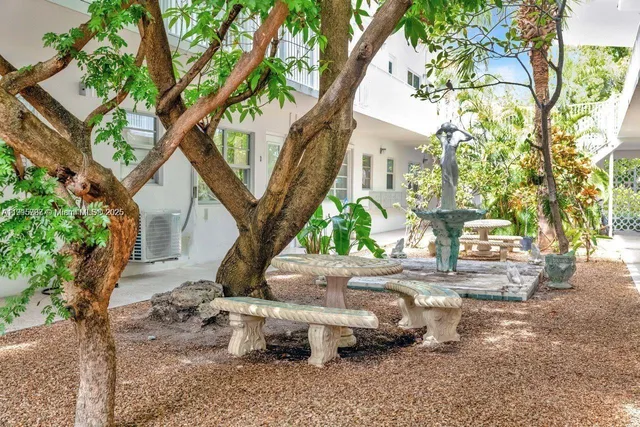 a view of a yard with plants and large trees