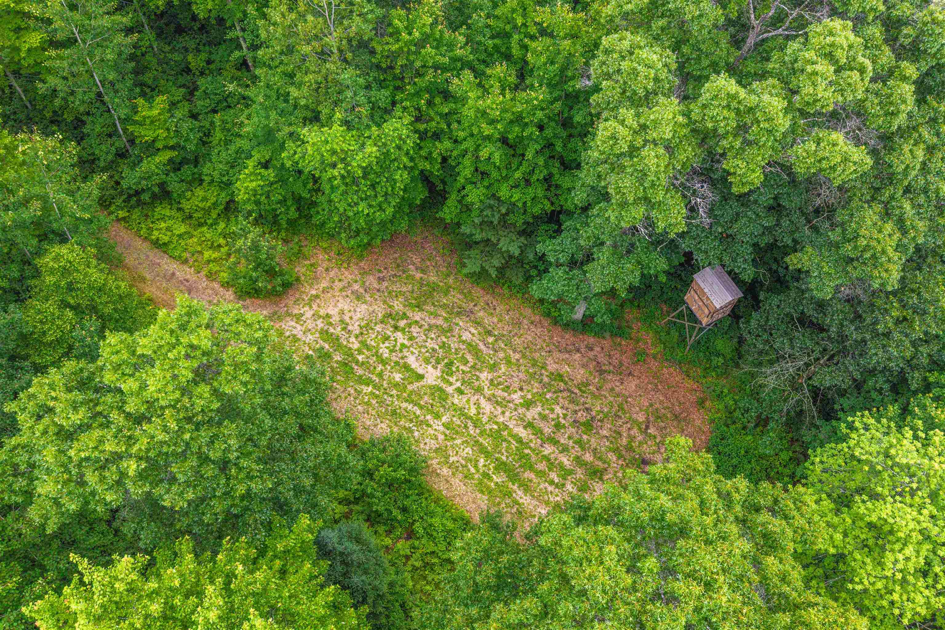 W5570 Lonn Road Tomahawk, WI 54487 - Photo 54 of 59