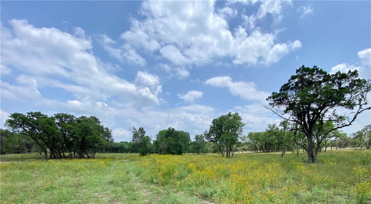 3510 Mt Sharp Road, Unit D Wimberley, TX 78676 - Photo 1 of 1