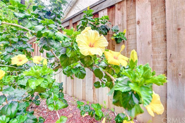 8546 Millpond Place Riverside, CA 92508 - Photo 47 of 60