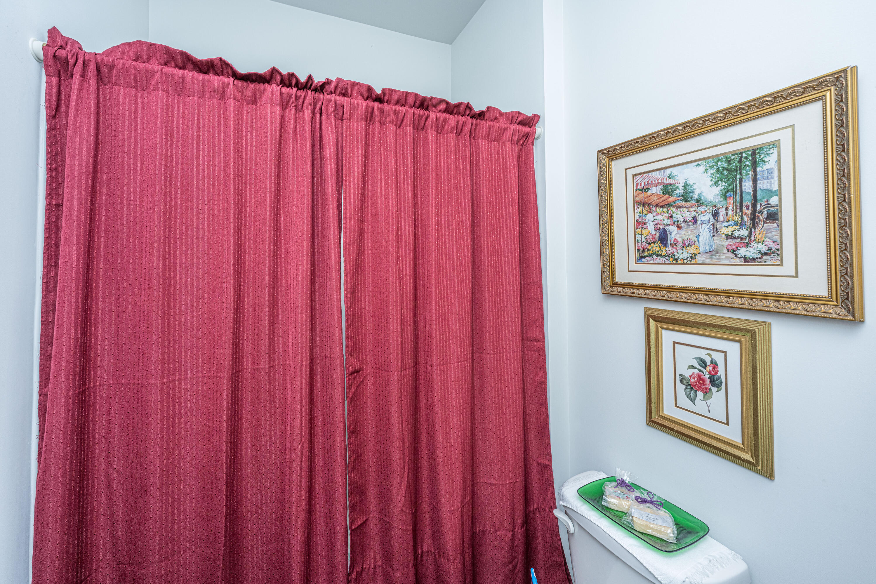 335 Feldspar Lane Ladson, SC 29456 - Photo 28 of 35 335FeldsparLn032