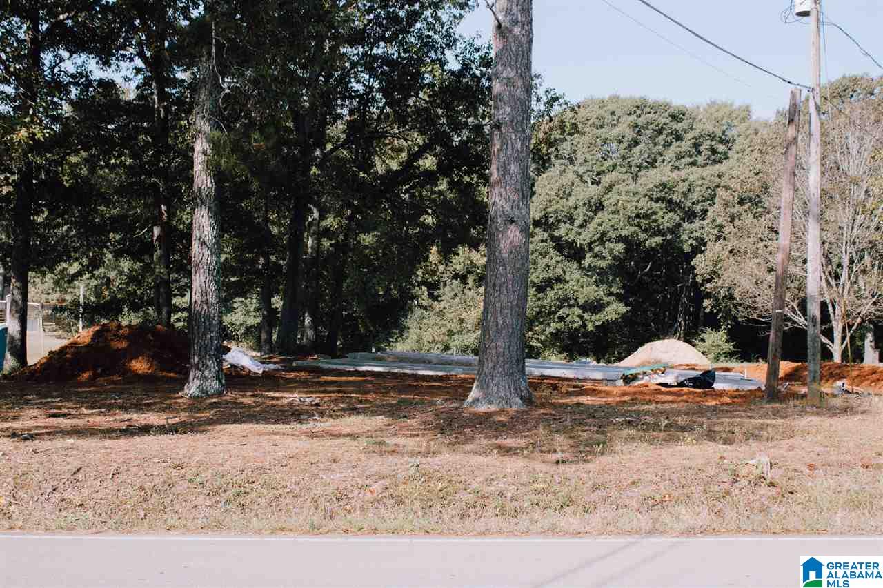 764 Mahaffey Road Eastaboga, AL 36260 - Photo 2 of 4