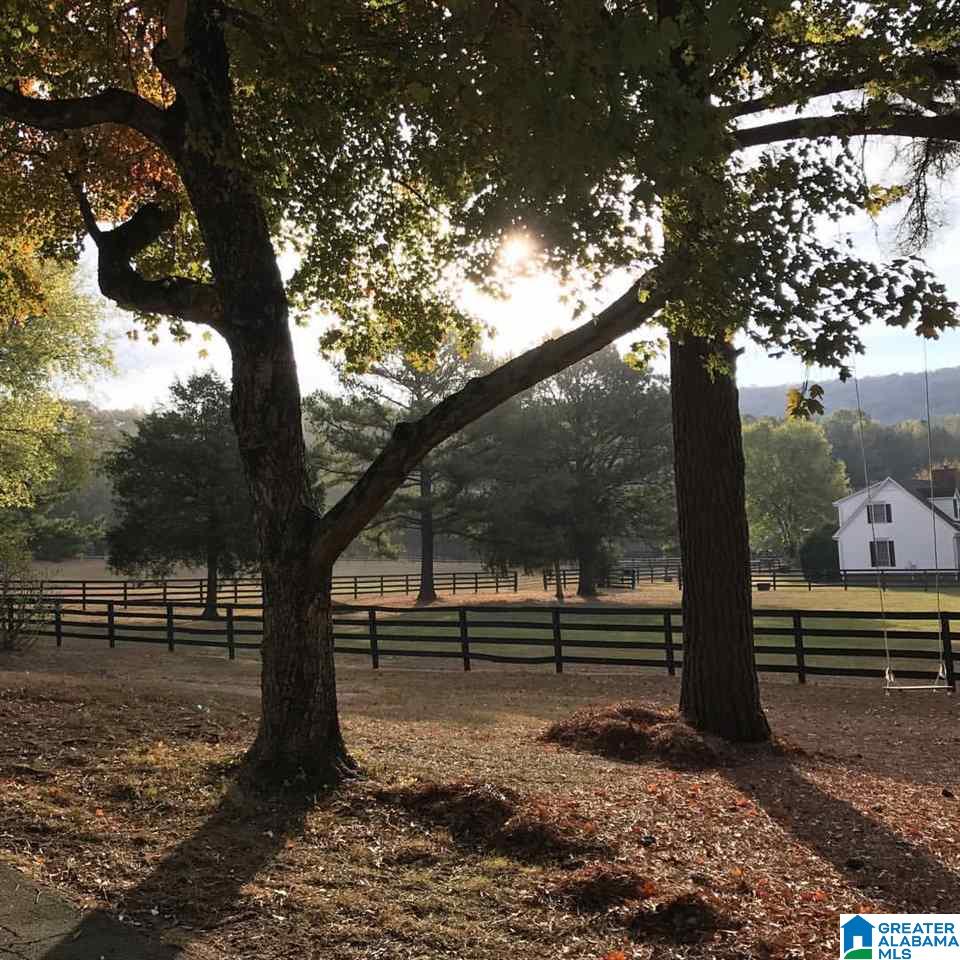 153 Chimney Rock Road Southwest Leeds, AL 35094 - Photo 11 of 16