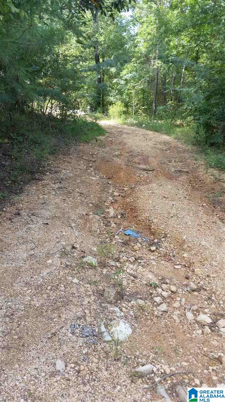 3475 Camp Winnataska Road, Unit 1 Pell City, AL 35128 - Photo 1 of 7