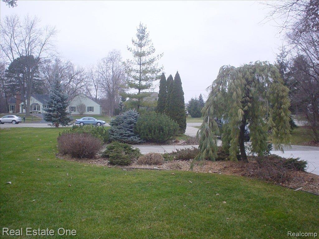 30503 Six Mile Road Livonia, MI 48152 - Photo 3 of 18 6 mile29