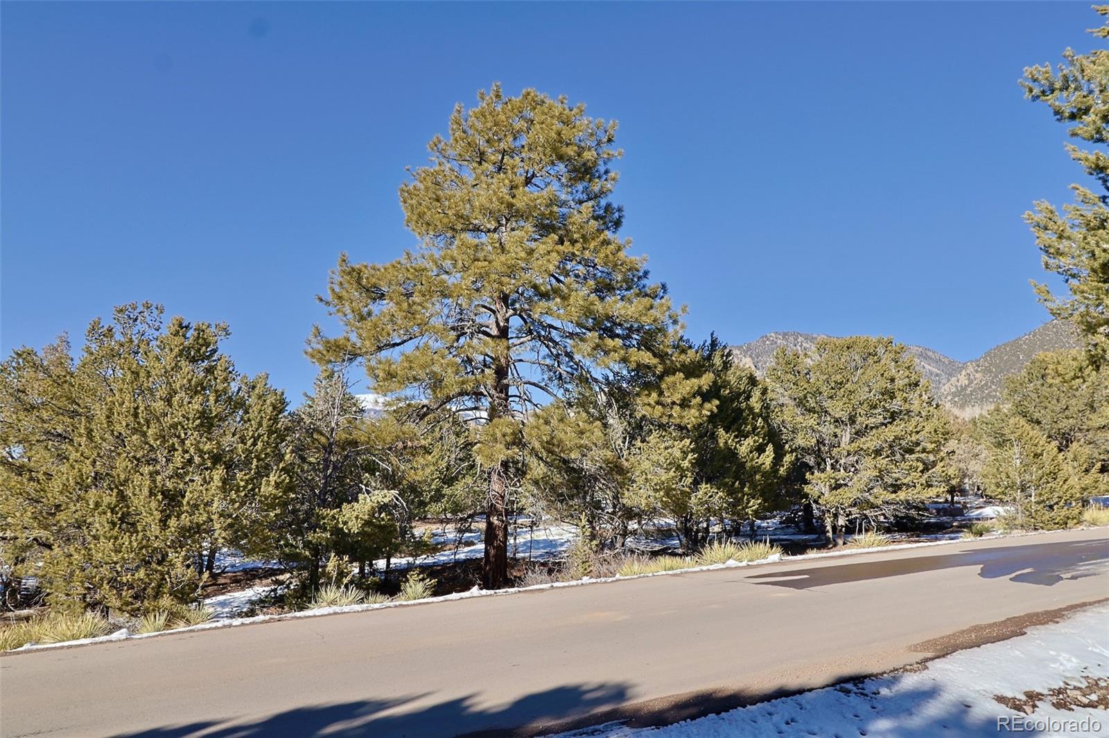 162 Moonlight Way Crestone, CO 81131 - Photo 13 of 15