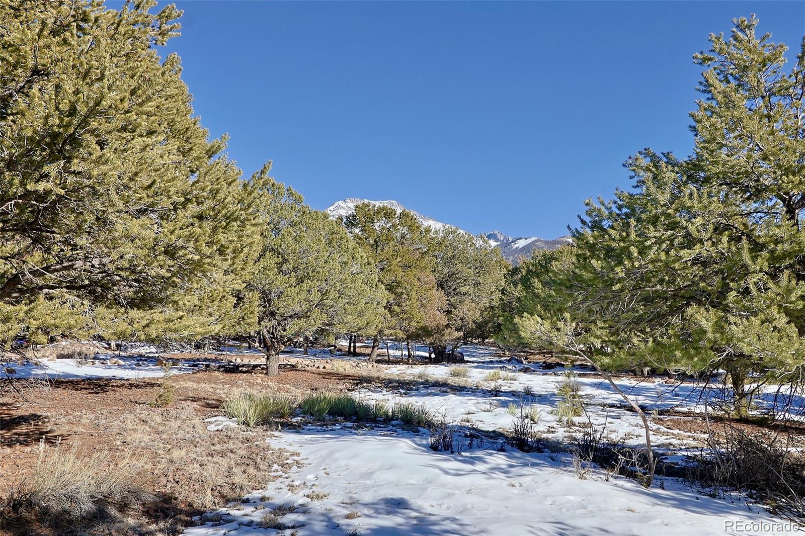 162 Moonlight Way Crestone, CO 81131 - Photo 6 of 15