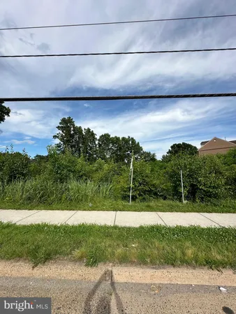 a view of a yard