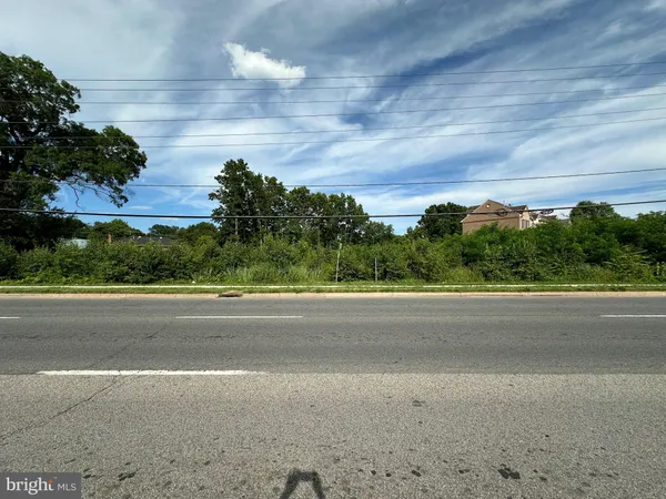 a view of a big yard of the house