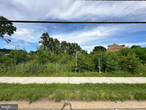 a view of a lake from a yard