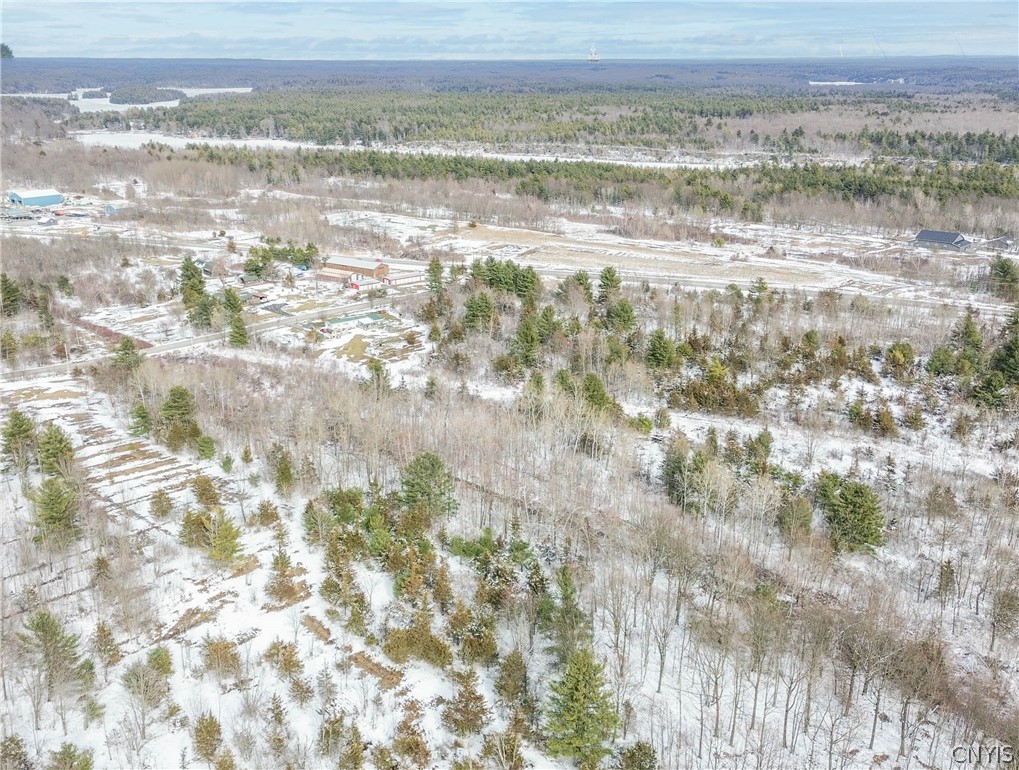 Simpson Road Redwood, NY 13679 - Photo 14 of 24