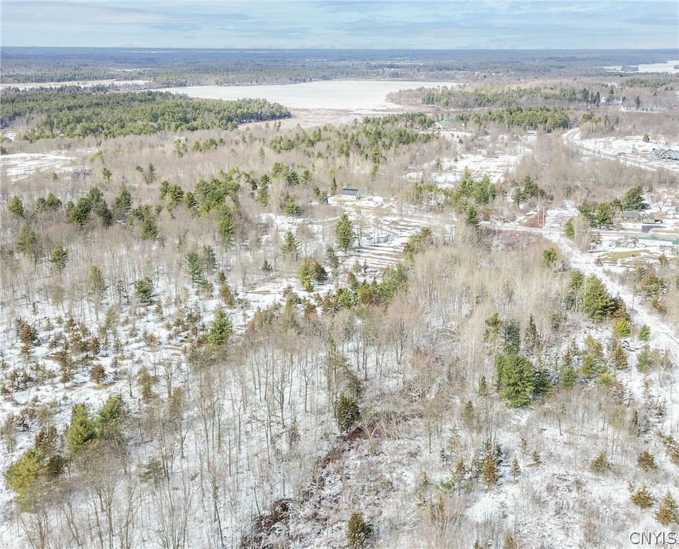 Simpson Road Redwood, NY 13679 - Photo 17 of 24