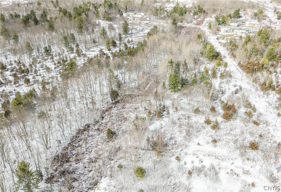 Simpson Road Redwood, NY 13679 - Photo 18 of 24