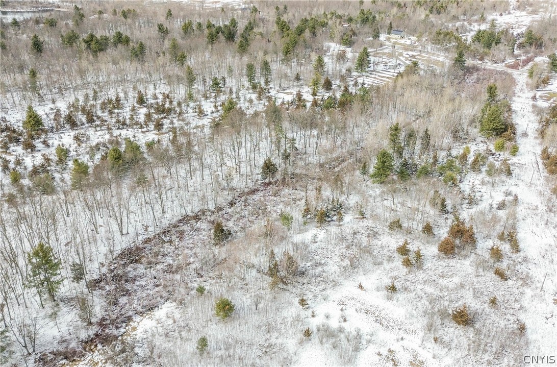 Simpson Road Redwood, NY 13679 - Photo 19 of 24