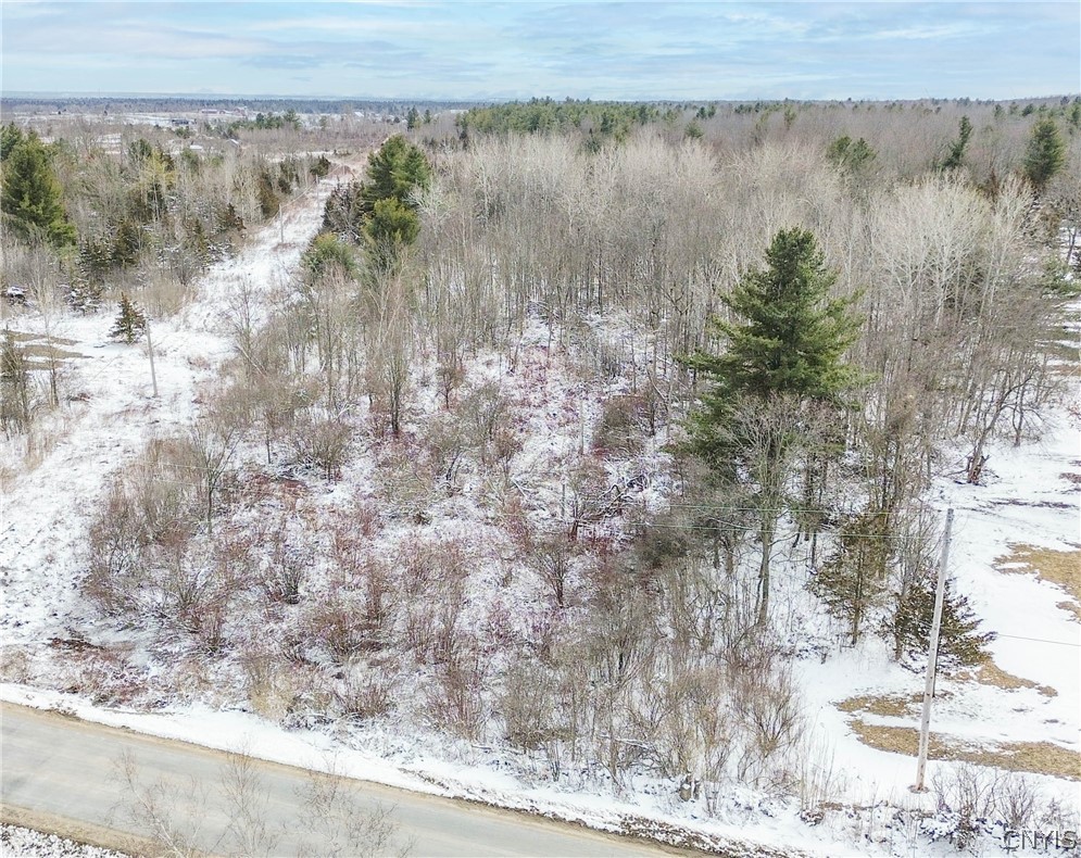 Simpson Road Redwood, NY 13679 - Photo 2 of 24
