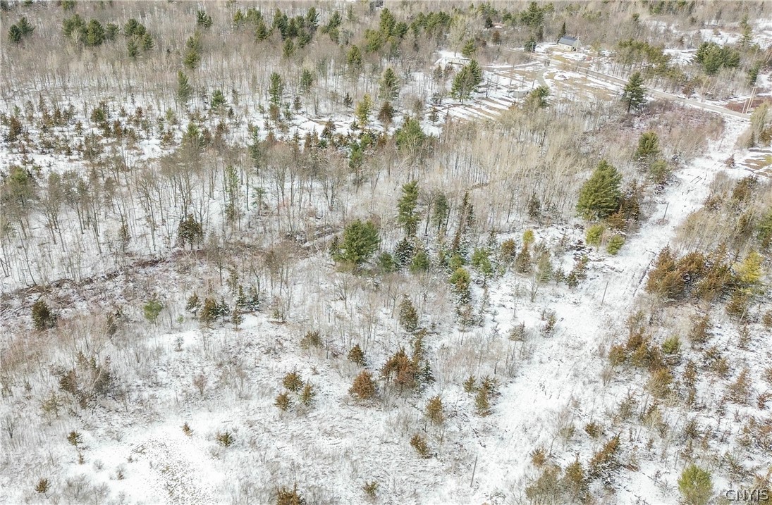 Simpson Road Redwood, NY 13679 - Photo 21 of 24