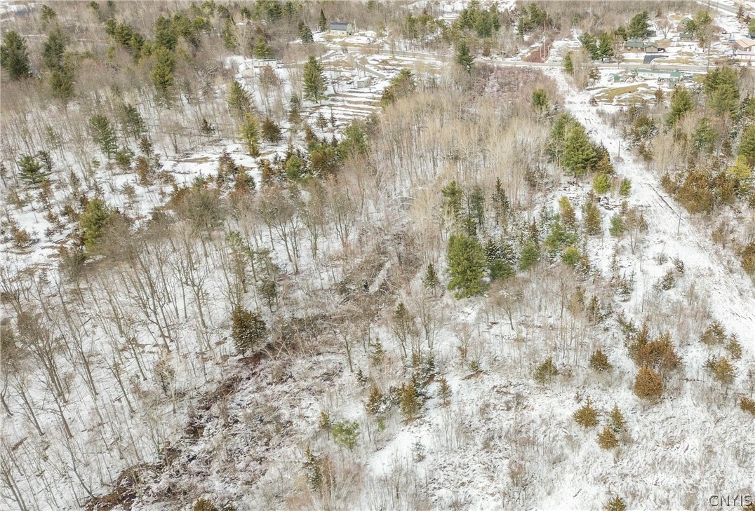 Simpson Road Redwood, NY 13679 - Photo 23 of 24