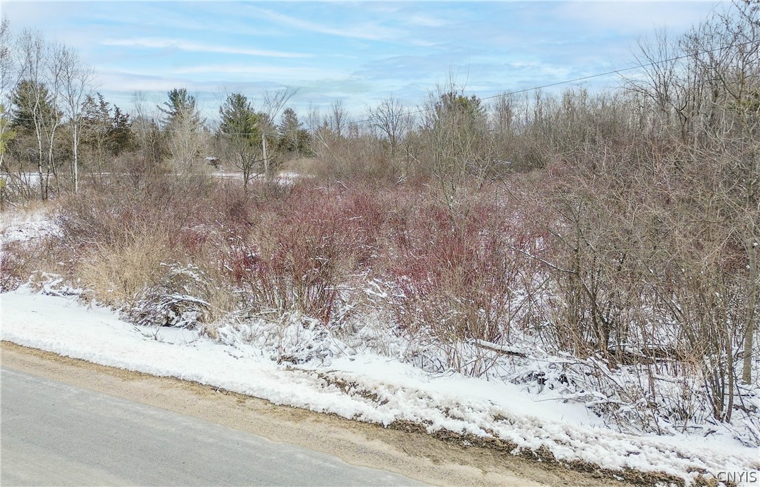 Simpson Road Redwood, NY 13679 - Photo 24 of 24