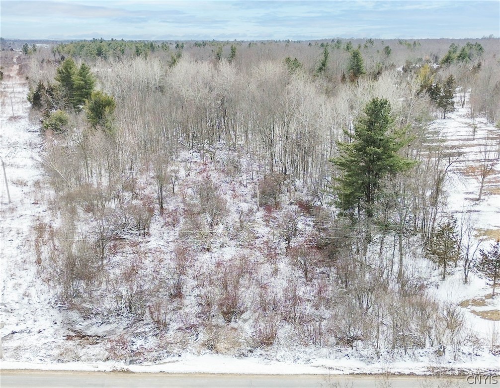 Simpson Road Redwood, NY 13679 - Photo 3 of 24