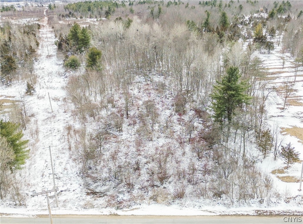 Simpson Road Redwood, NY 13679 - Photo 4 of 24