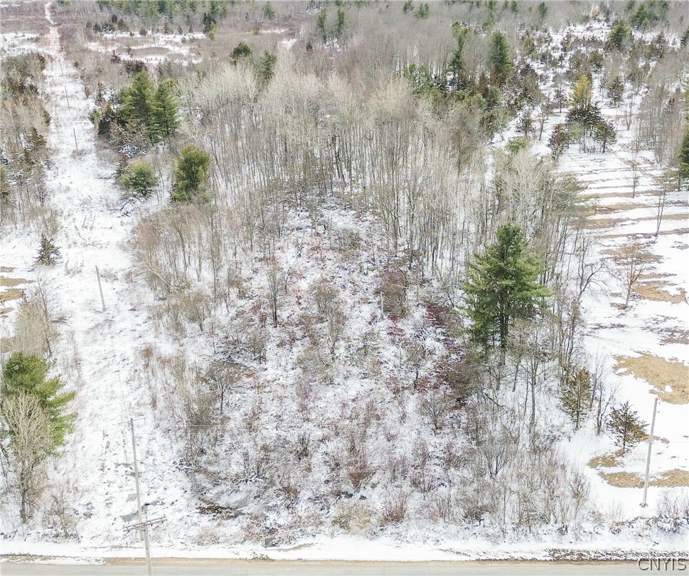 Simpson Road Redwood, NY 13679 - Photo 5 of 24