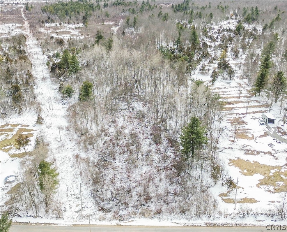 Simpson Road Redwood, NY 13679 - Photo 6 of 24