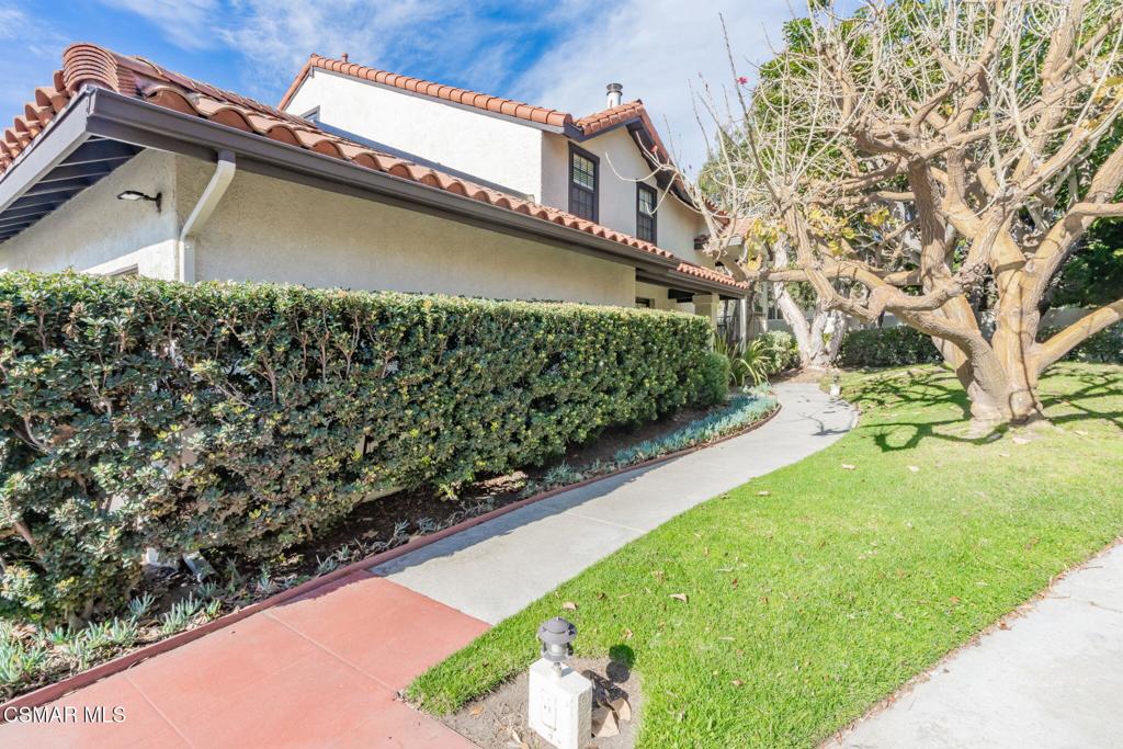 4481 Antigua Way Oxnard, CA 93035 - Photo 43 of 76 a view of a yard with potted plants
