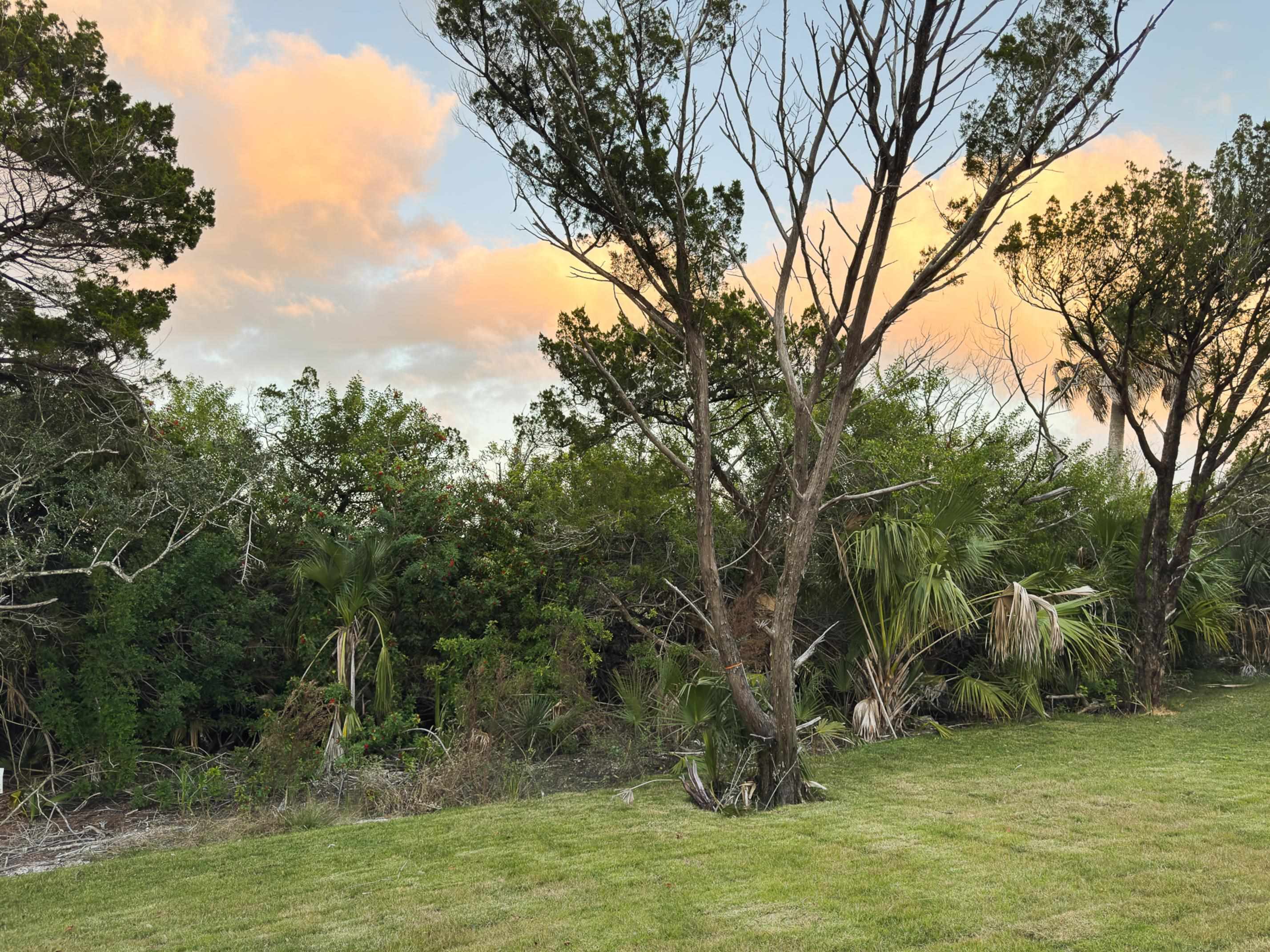 2549 Palm Avenue Flagler Beach, FL 32136 - Photo 64 of 65 a view of a outdoor space